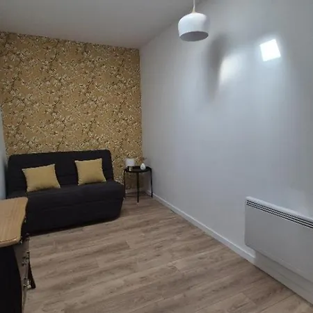 Maison Moderne, Animaux Ok - 6 Pers. - Fr-1-879-21 *